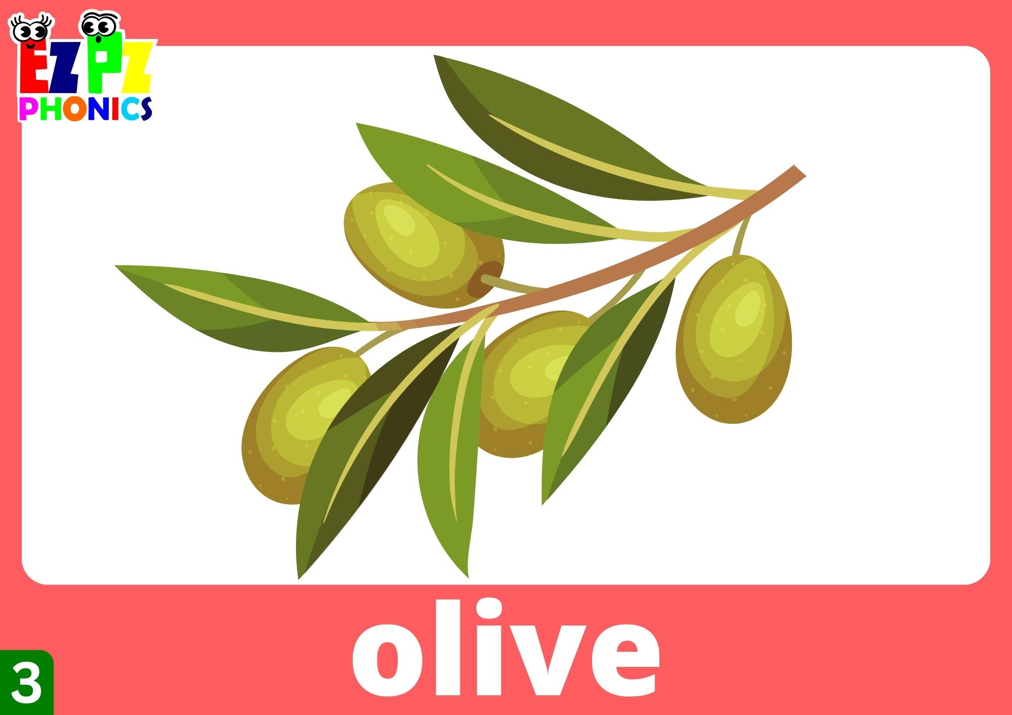 Letter O Words Phonics Flashcards with Images and Words Free Printable ...