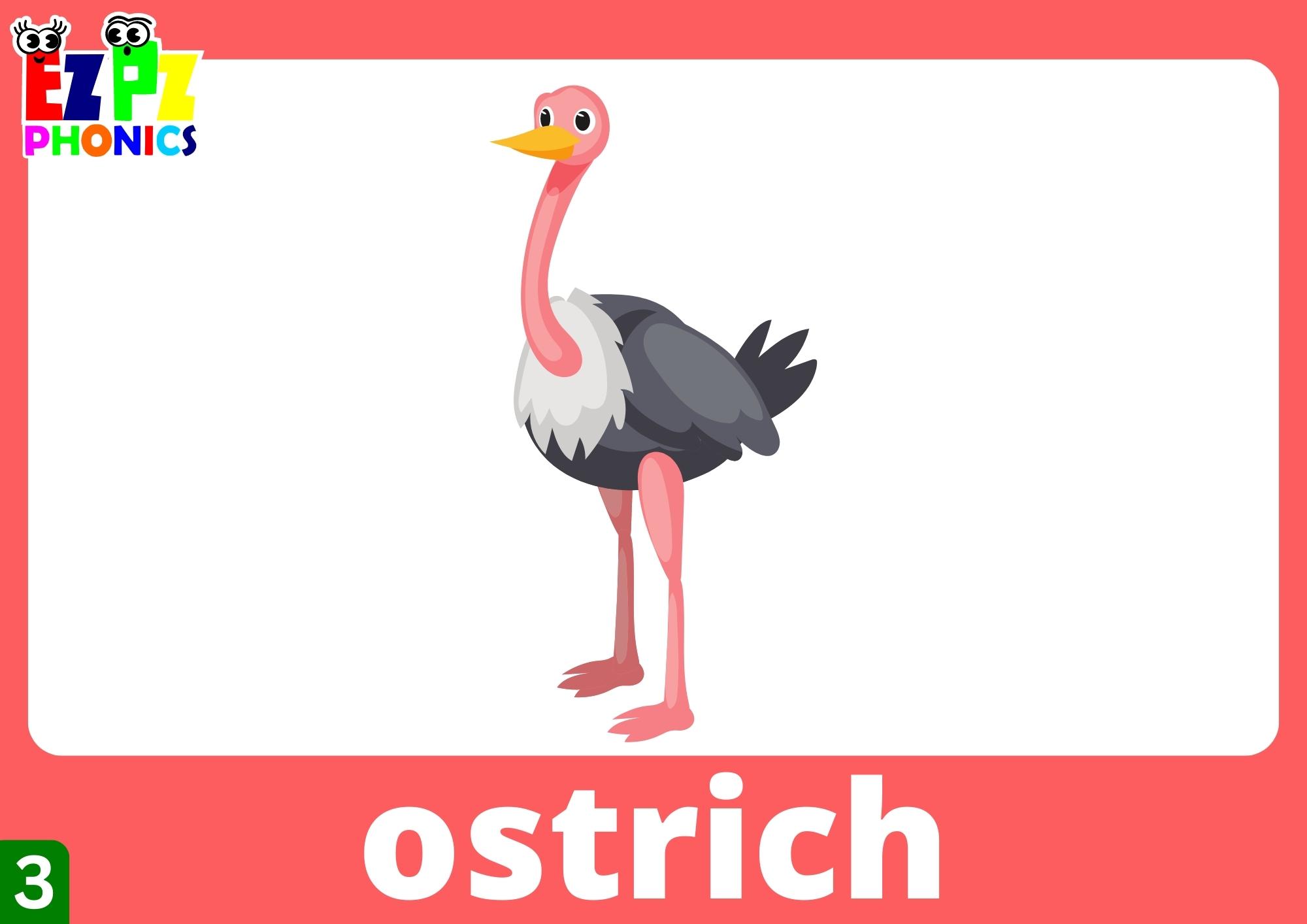 Letter O Words Phonics Flashcards with Images and Words Free Printable ...