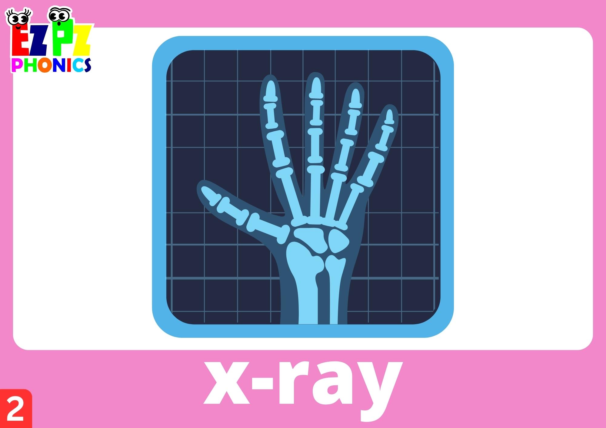Phonics flashcards with letter X words.